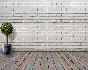 Brick wall, wooden boards on the floor, single pot plant to the left
